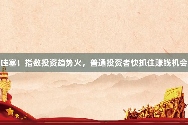 哇塞！指数投资趋势火，普通投资者快抓住赚钱机会