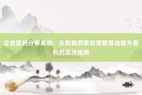 企业盈利分析案例:从数据洞察到策略落地提升盈利的实战指南