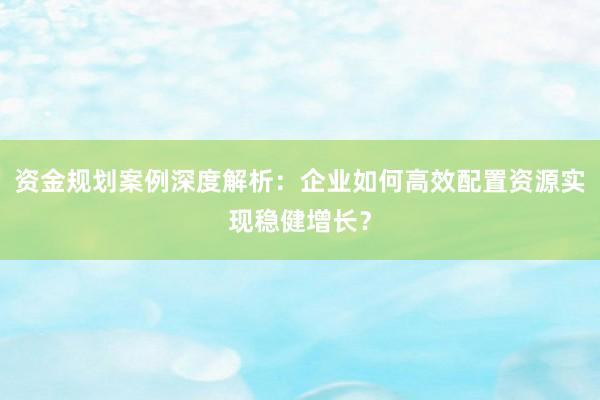 资金规划案例深度解析:企业如何高效配置资源实现稳健增长?